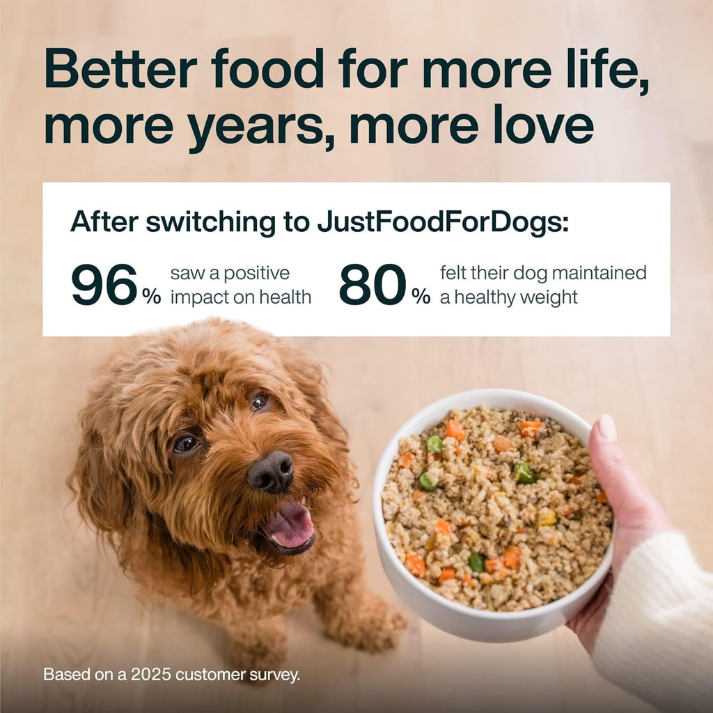 Pantry Fresh Wet Dog Food, Complete Meal or Dog Food Topper, Beef & Russet Potato Human Grade Dog Food Recipe - 12.5 Oz (Pack of 6)