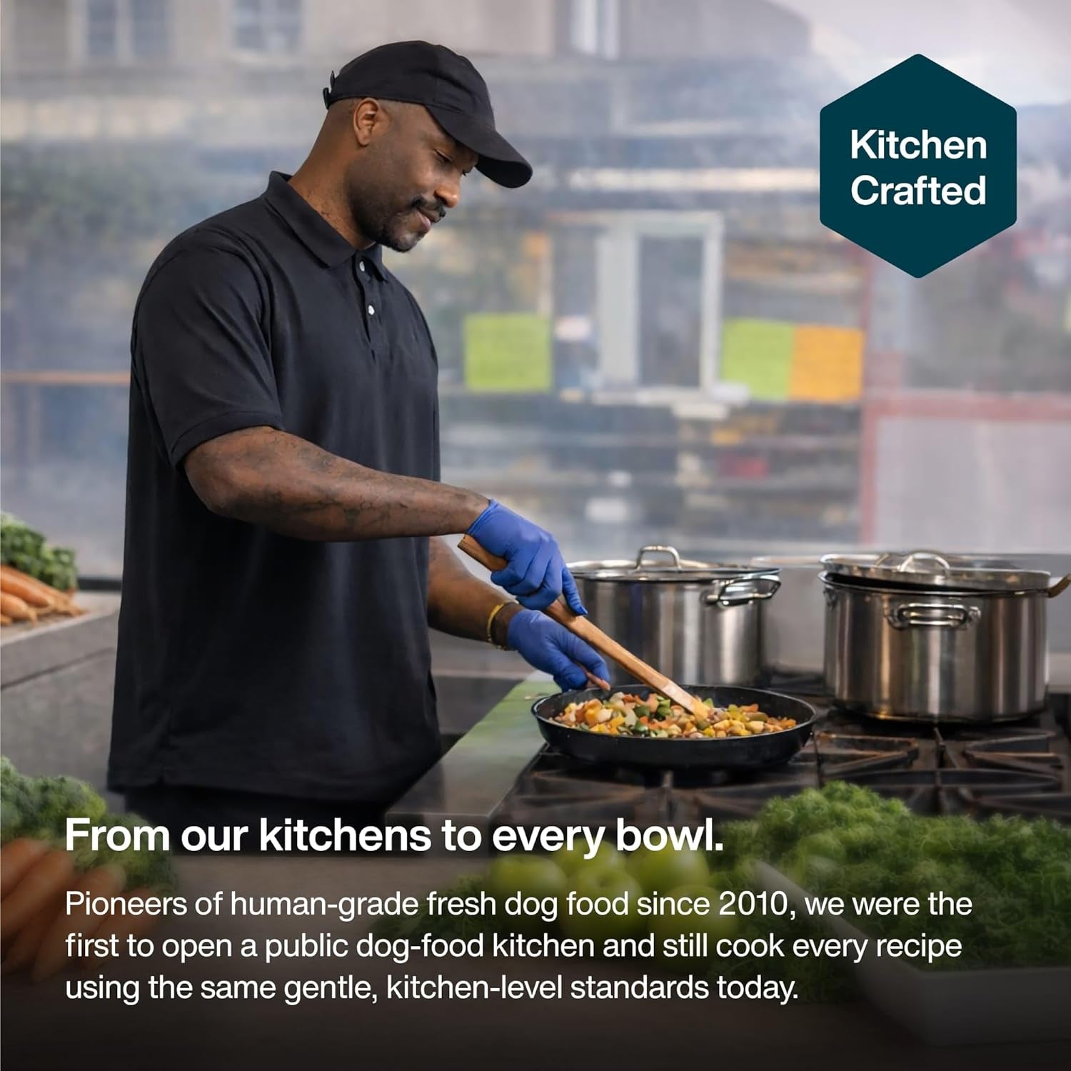 Pantry Fresh Wet Dog Food, Complete Meal or Dog Food Topper, Beef & Russet Potato Human Grade Dog Food Recipe - 12.5 Oz (Pack of 6)