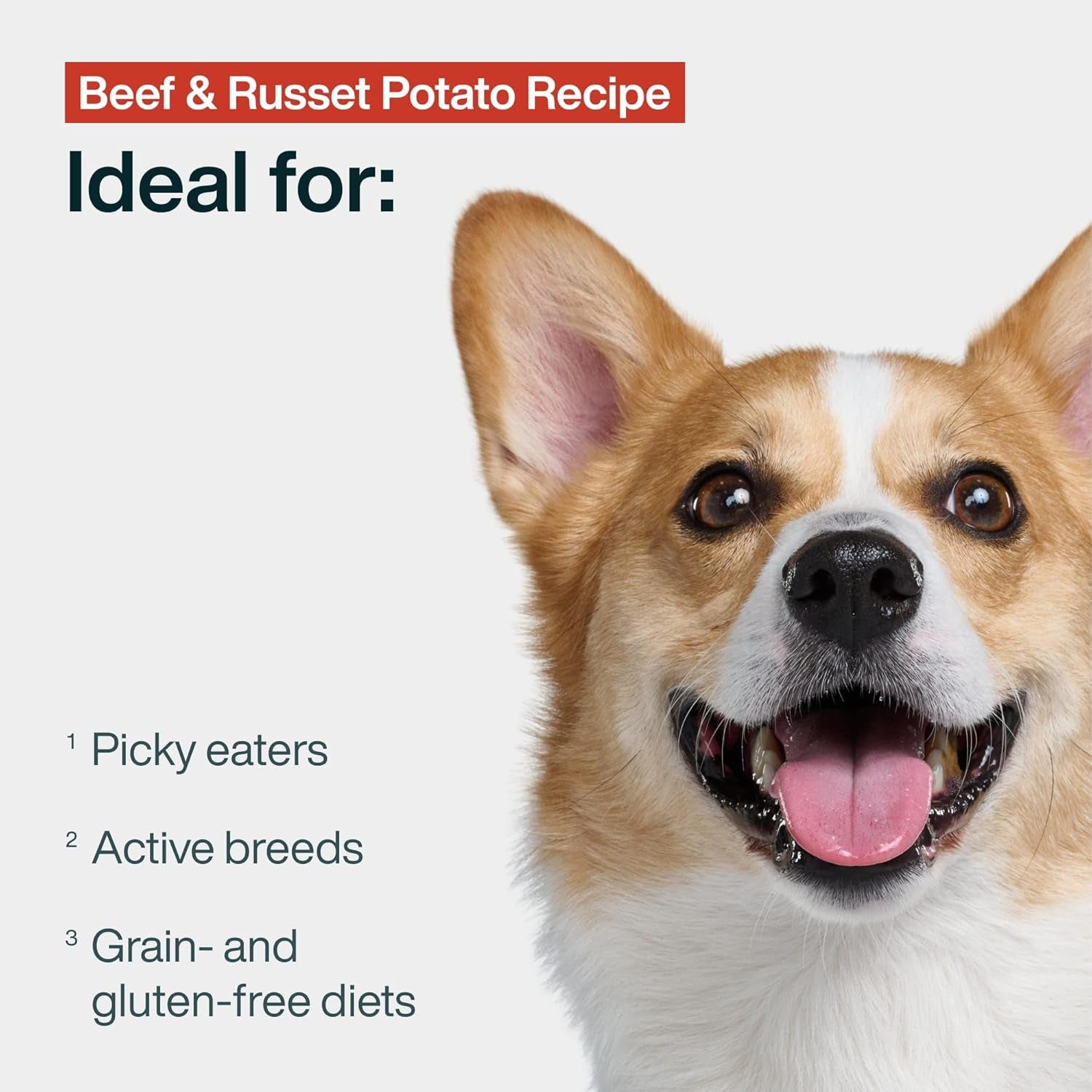 Pantry Fresh Wet Dog Food, Complete Meal or Dog Food Topper, Beef & Russet Potato Human Grade Dog Food Recipe - 12.5 Oz (Pack of 6)