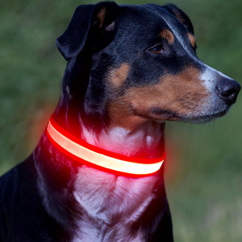 LED Dog Collar, Light up Dog Collar Adjustable USB Rechargeable Super Bright Safety Light Glowing Collars for Dogs